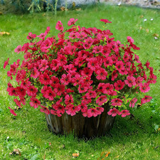Artificial Flowers for Outdoors 12 Bundles Realistic Faux Plants UV Resistant...