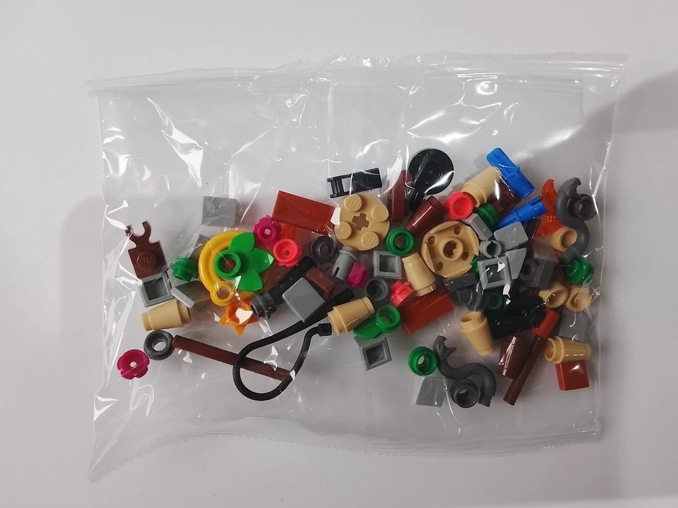 LEGO Ideas 40566 Ray the Castaway, photo 4 sur 5