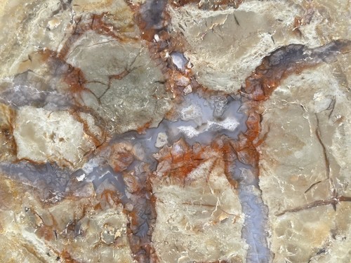 DIG-N-UTAH: DINOSAURIER KOPROLIT HENRY MOUNTAINS UTAH POLIERT DINO KACKE # L 638 - Bild 2 von 12