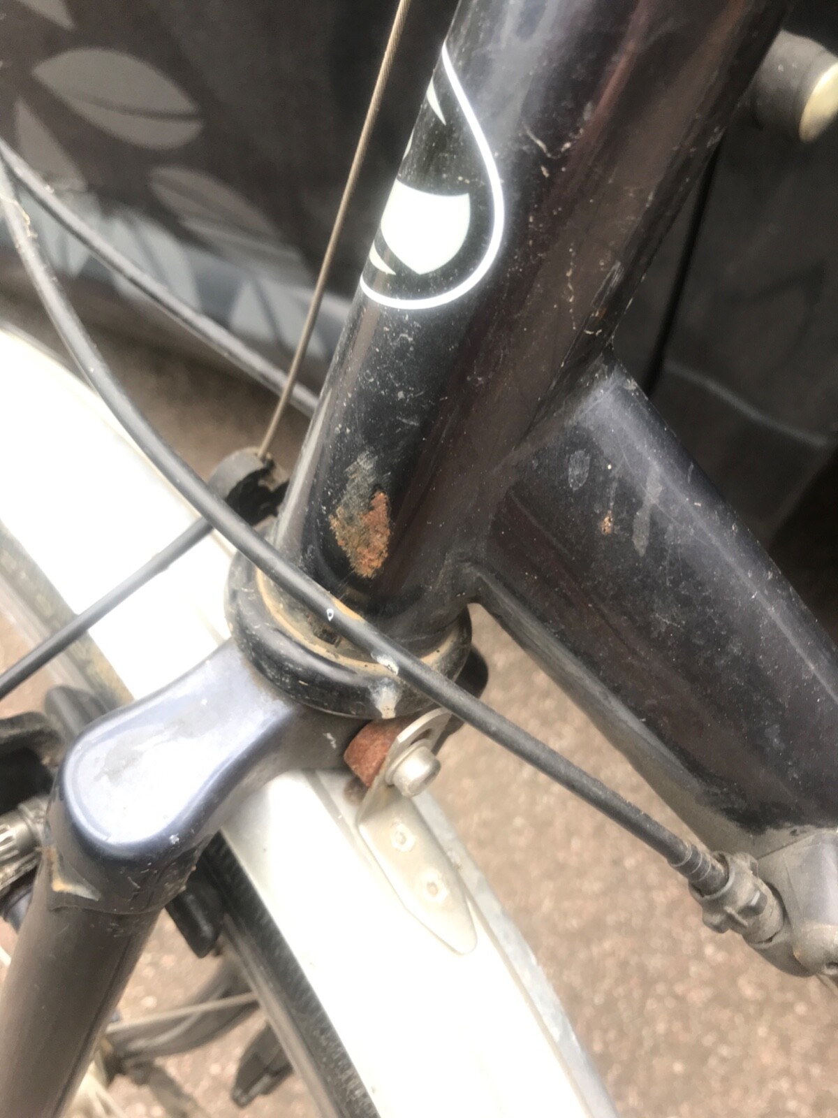 ave maldea mtb frame