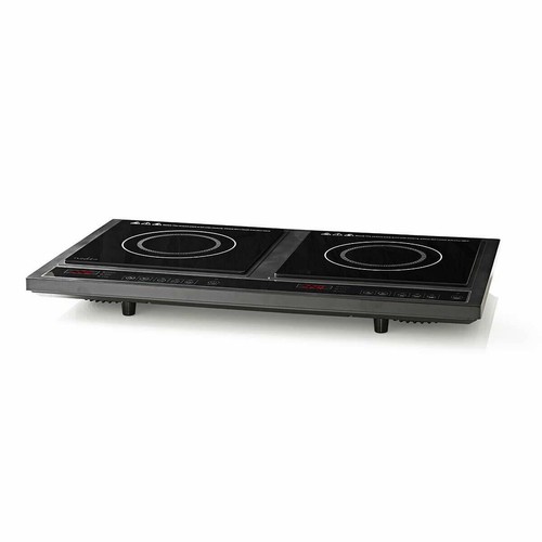 induction vs electric hot plate