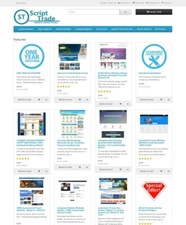 Turnkey Websites Selling Business Website + Installation