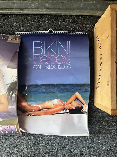 The Sun Page 3 Calendar 1978 - Nina Carter - Jackie Sewell + 4 Similar Calenders - Picture 12 of 15