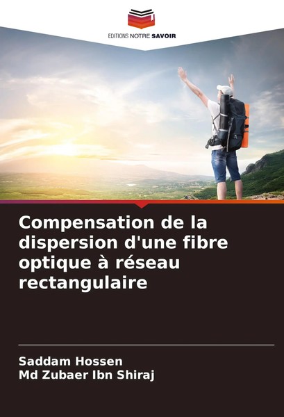 Compensation De La Dispersion D'une Fibre Optique à RéSeau Rectangulaire Buch-image