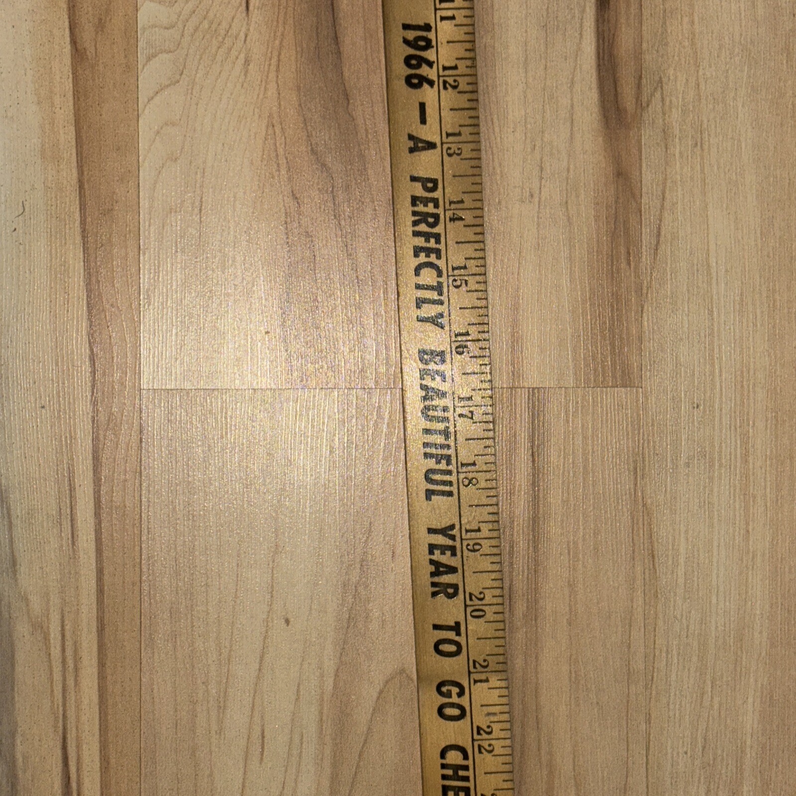 Picture 5 of 6