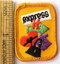 Girl Scout 2009 EXPRESS IT FOCUS BADGE Diary ...