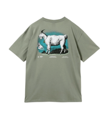 Nike ACG Dri-Fit T-Shirt Dark Stucco Asia 100% Authentic FV3493