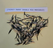 French Dwarf Double Mix Marigold 50+ seeds