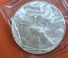 2010 American Eagle Silver Dollar Uncirculated 1 oz bullion coin .999