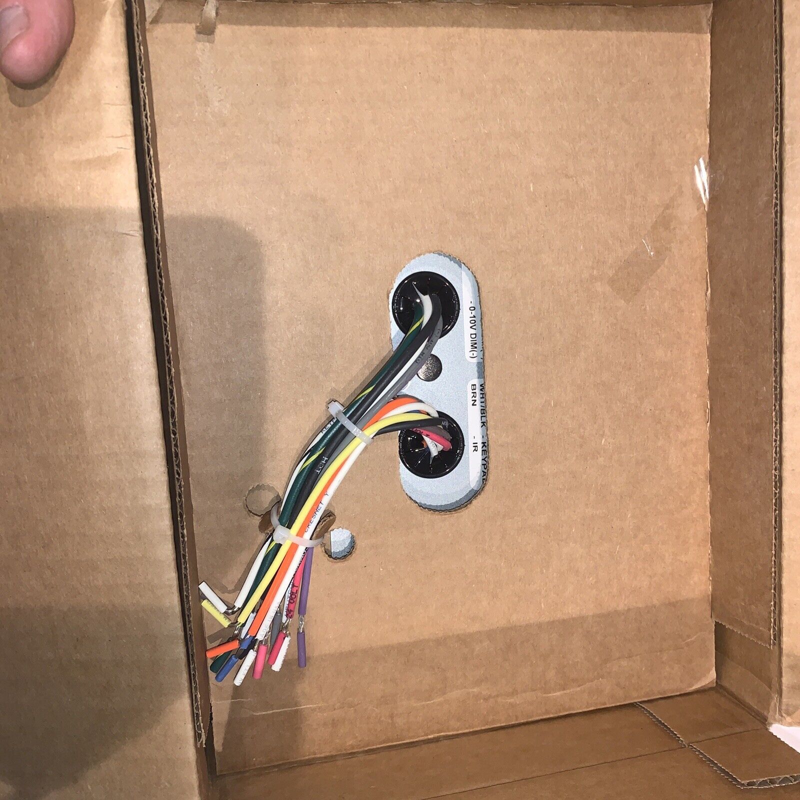 Picture 5 of 5