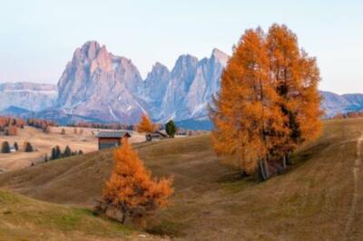 Wandbild: Bergwiese und Haus Seiser Alm im Hintergrund Langkofel-Gebirge [...]