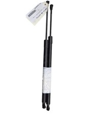 Verin de hayon / de capot Renault MODUS