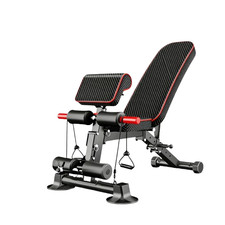 Banc Musculation Réglable Bandes Résistance Haltères Sit Maison Cage Squat Neuf