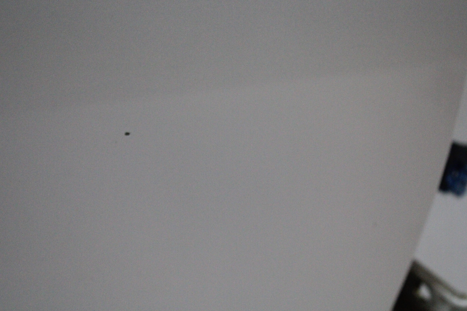 Picture 6 of 7