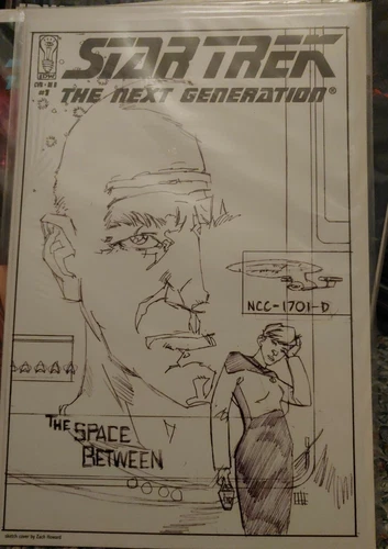 STAR TREK : THE NEXT GENERATION : THE SPACE BETWEEN #1 RI-B COVER IDW COMICS