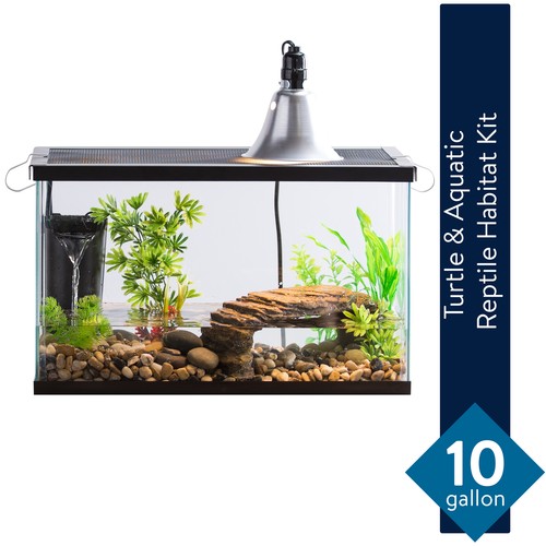 40 gallon turtle starter kit