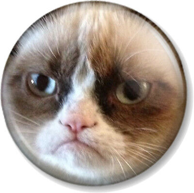 Grumpy Cat Face 25mm 1 Pin Button Badge Internet Meme Funny Pet Humour  Close Up