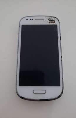 Samsung galaxy 3 mini 18800 to review after fall