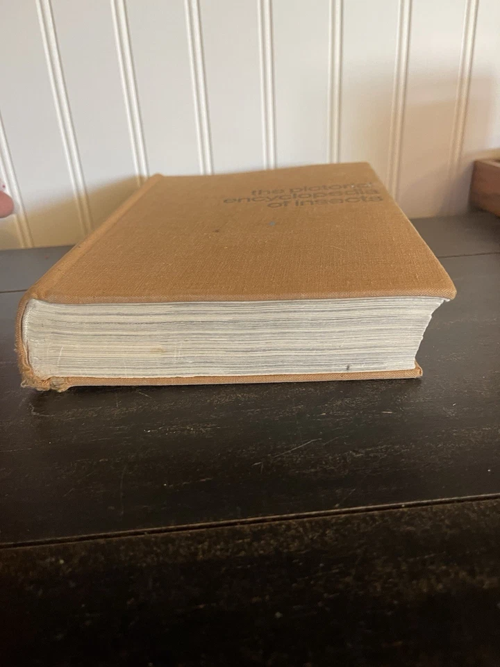 Vintage 1969 The Pictorial Encyclopedia of Insects By V.J Stanek Entomology - Image 4 of 4