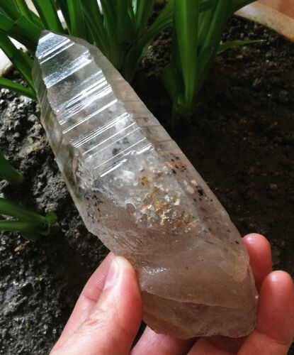 343g 140mm Wonderful Lemurian Quartz Crystal Point Specimen Natural Rare