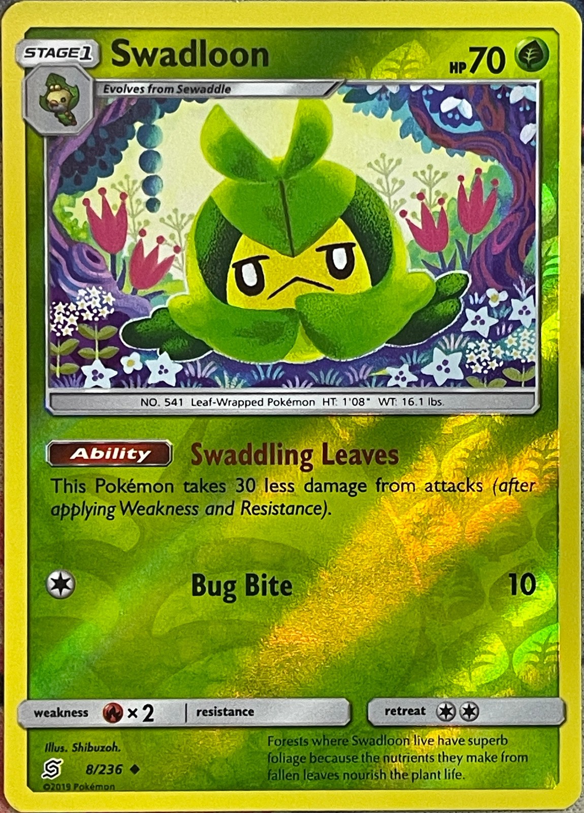 Swadloon Reverse Holo - 8/236 - Unified Minds Pokemon 2019