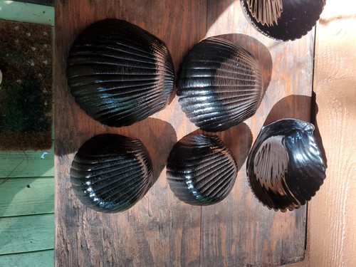 4- 6" Serving & 2 -4.5" Condiment MCM Arcoroc Black Glass Clam Shell Bowls - Picture 11 of 12