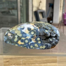 678g 8th Vein  Natural Ocean Jasper Freeform & Druzy Crystal Mineral Specimen