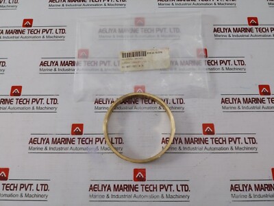 EUREKA POS 10 22864-001 Verschleißring-Bronze 518.50.10.010