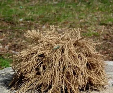 Helmet cover camouflage Kikimora Leshy Jilly for the Armed Forces of the Ukr💙💛