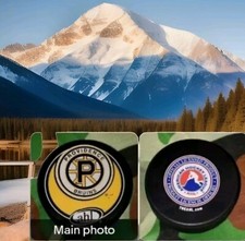 PROVIDENCE BRUINS AHL OFFICIAL HOCKEY PUCK VEGUM MFG. MADE IN SLOVAKIA 🇸🇰 