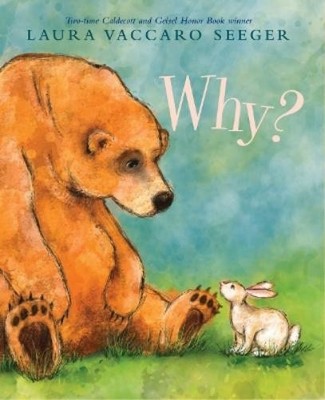 Laura Vaccaro Seeger Why? (Hardback)