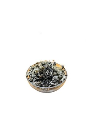 Patil Foods Chad Chadila Whole - Parmelia Perlata (Shaileya)