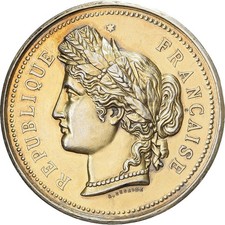 [#1528623] France, Medal, Comice Agricole de Dié, Vermeil, Desaide, AU(55-58)