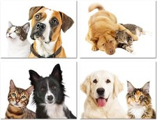 Furry Friends Dog and Cat Greeting Cards-Blan...