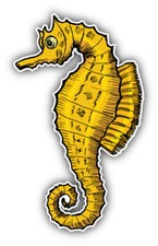 Seahorse Animal Car Bumper Sticker Decal