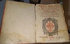 Foto 10 di 24
