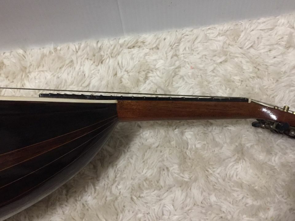 Early 1900's Victoria mandolin eBay