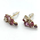 Jewelry Pierced Earring Gold Yellow Gold Pinks 465206