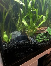 Aquarium fish tank shrimp cave
