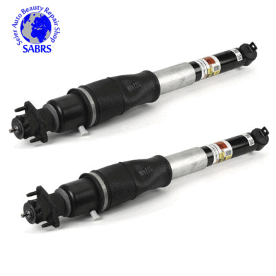 Pair Arnott Rear Strut Shock For Buick Lucerne Cadillac DTS 2006-2011