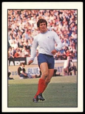 Panini Top Sellers - 'Football 73' (1973) - Ron Webster (Derby County)