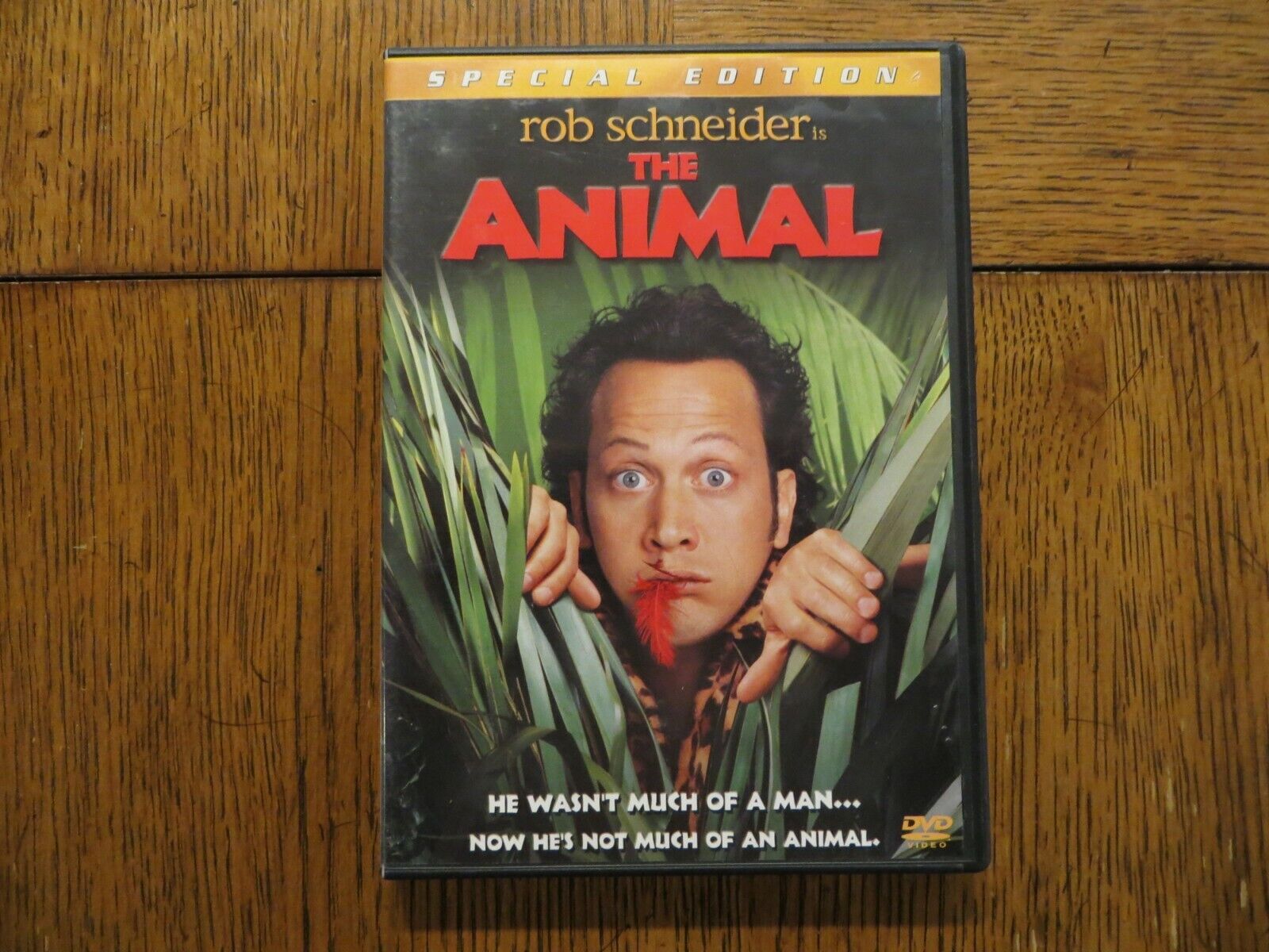 The Animal - Rob Schneider, Colleen Haskell - 2001 - Columbia DVD LIKE NEW!!! | eBay The Animal - Rob Schneider, Colleen Haskell - 2001 - Columbia DVD LIKE NEW!!! | eBay