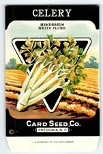 Henderson Celery 1920's Card Seed Co Packet EMPTY Vintage Fredonia New York NY