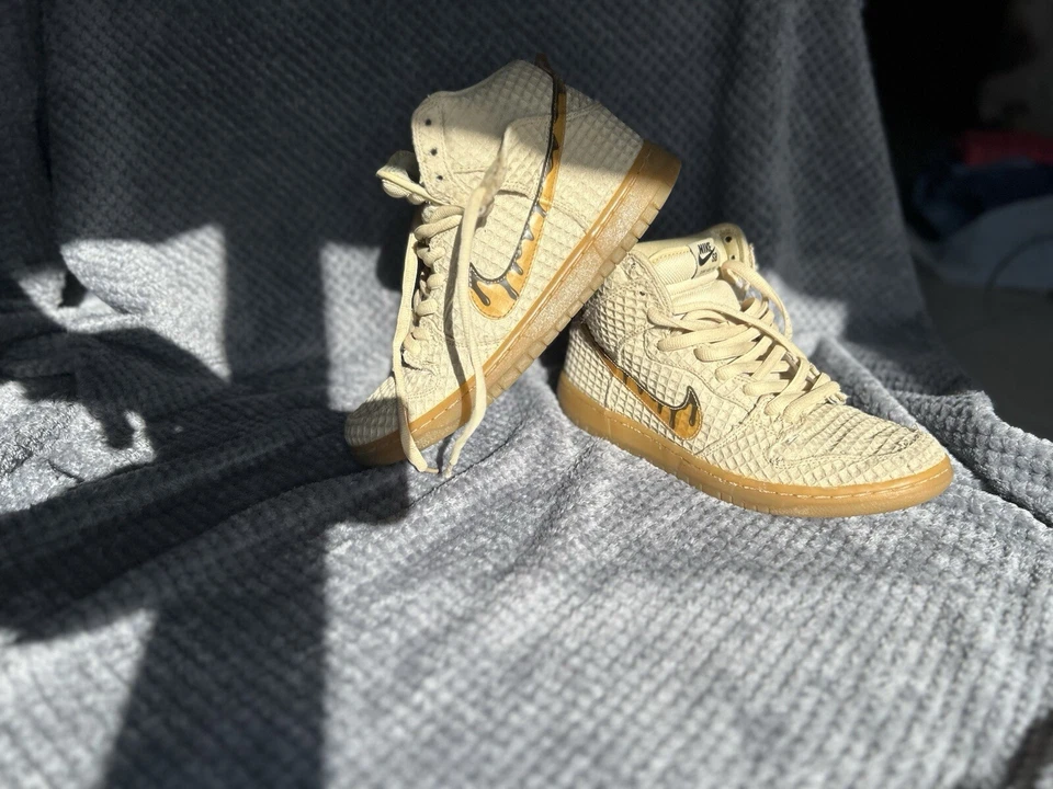 Nike Dunk SB High, foto 1 di 5