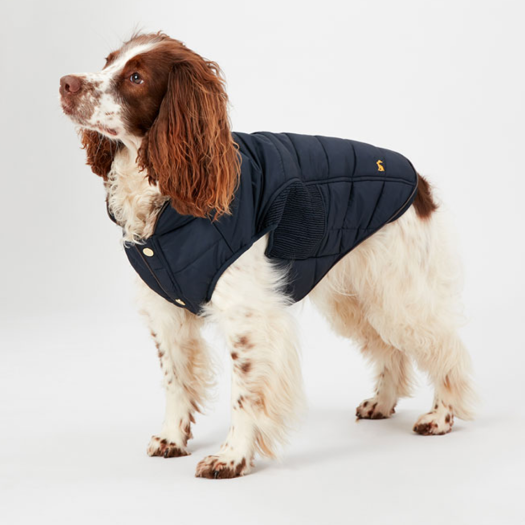 Joules Cherington Dog Coat UK