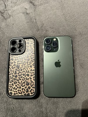 iPhone 13 Pro 256 GB   sehr guter Zustand, 76 % Batterie