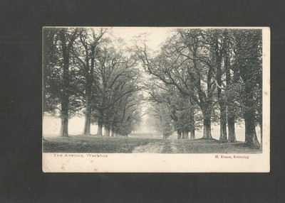 Postkarte Northamptonshire Warkton The Avenue