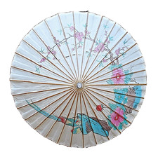 Antique Parasol Umbrella, Japanese Rice-Paper Bamboo Flowers Birds 31"