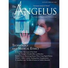 Angelus January February 2025 SSPX Technology