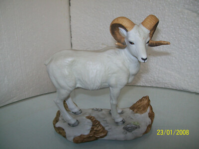 Andrea by Sadek Dall Sheep # 2982